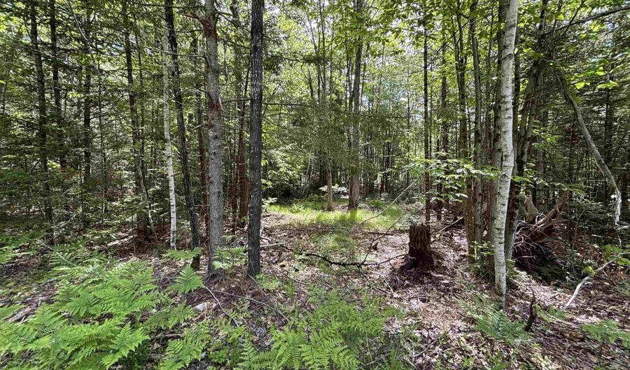 37446 N Shore/Washington Dr, Barnstead, NH 03225 - 0 Beds, 0 Bath