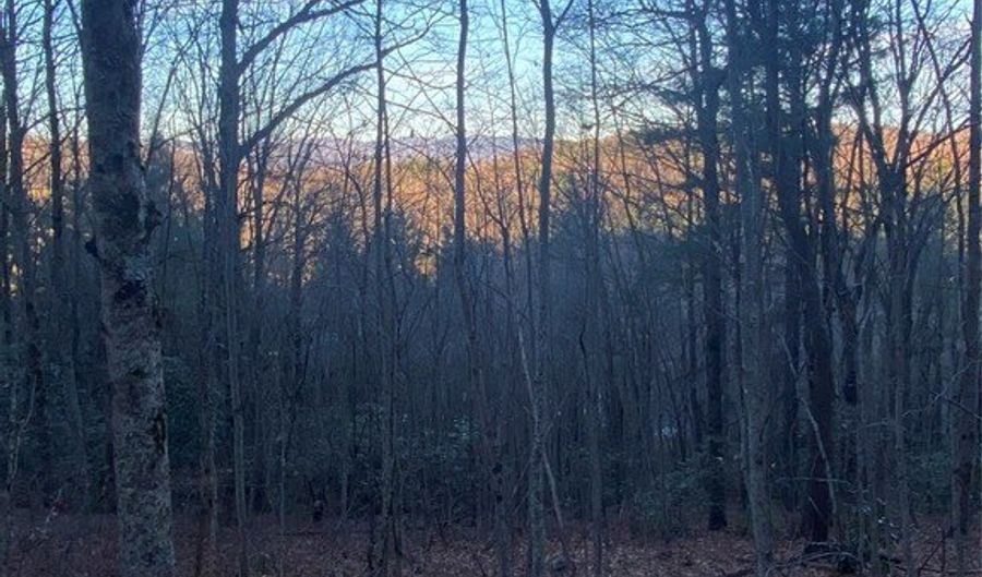 Tbd Strawberry Branch, Scaly Mountain, NC 28775 - 0 Beds, 0 Bath
