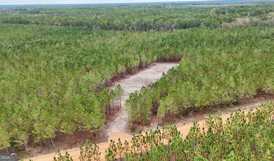 Penny Morris Road, Baxley, GA 31513 - 0 Beds, 0 Bath