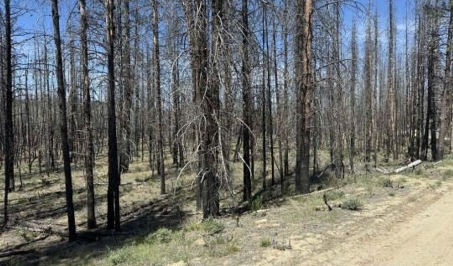 Off-Hicks Road, Bly, OR 97622 - 0 Beds, 0 Bath