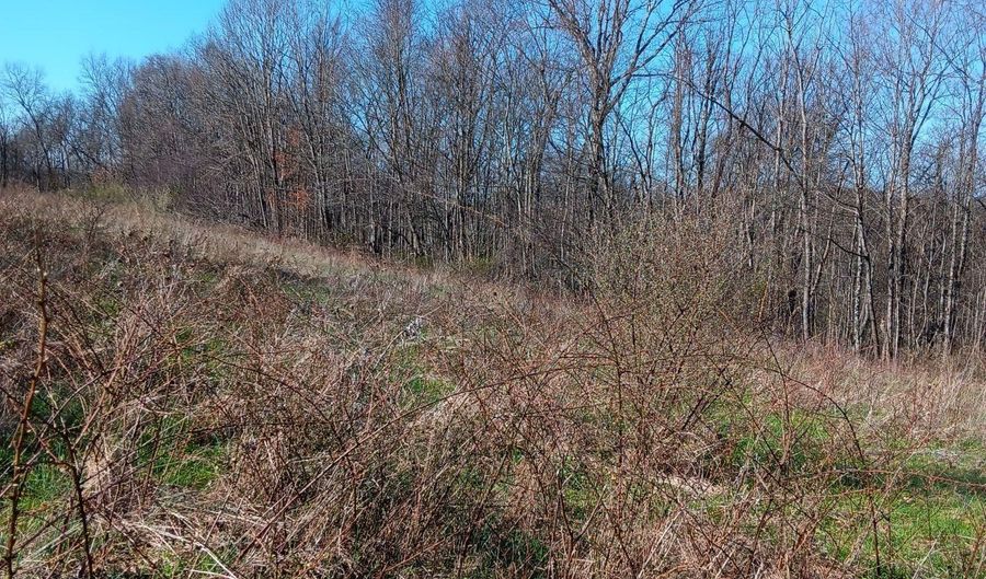 Setty Rd, Albany, OH 45710 - 0 Beds, 0 Bath