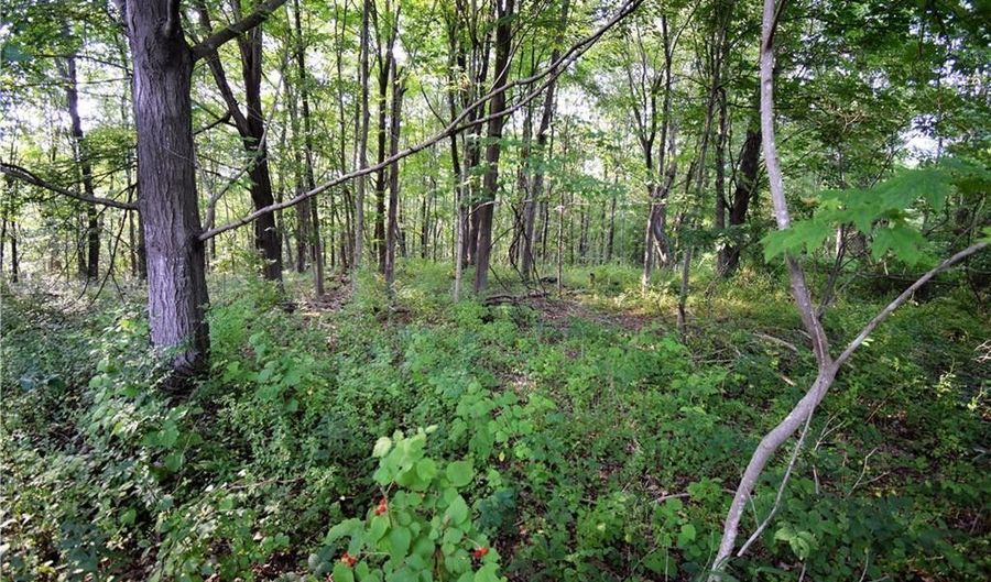 LOT # 22 Kenneth Circle MAP #77, Guilford, CT 06437 - 0 Beds, 0 Bath