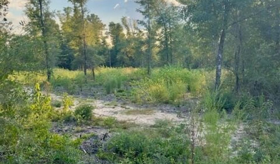 BLK 211 Vancouver Drive lot 21, Alford, FL 32420 - 0 Beds, 0 Bath