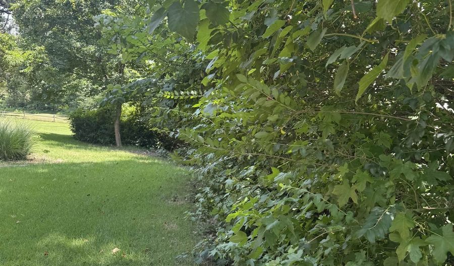 422 SCOTTSCRAIG Cv Lot 422, Bartlett, TN 38135 - 0 Beds, 0 Bath