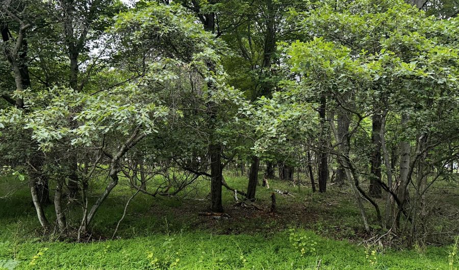 Lot Ep1850 Chippewa Trail, Albrightsville, PA 18210 - 0 Beds, 0 Bath