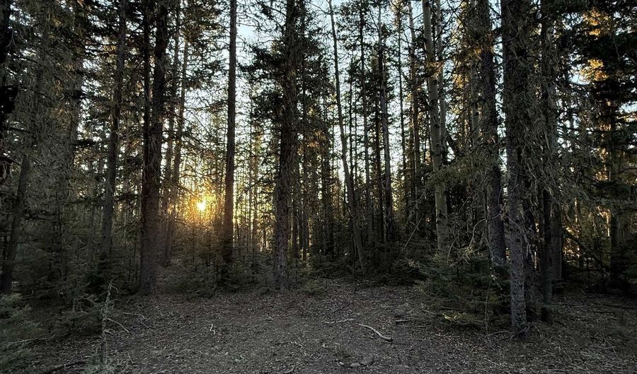 Happy Way lot 45, Angel Fire, NM 87710 - 0 Beds, 0 Bath