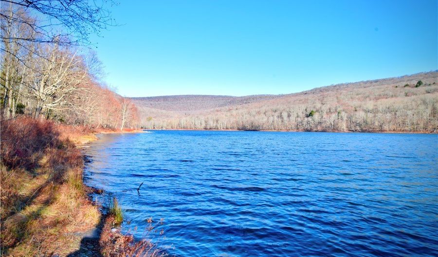 339 Mountain Lake Rd, Andes, NY 13731 - 3 Beds, 1 Bath