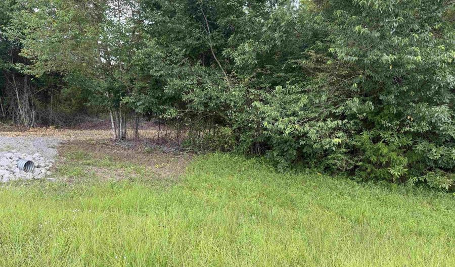 COUNTY ROAD 26 lot 0, Ashville, AL 35953 - 0 Beds, 0 Bath