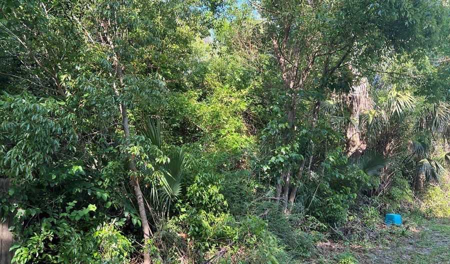235 11th St, Apalachicola, FL 32320 - 0 Beds, 0 Bath