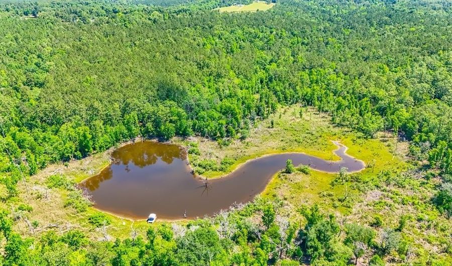 93 Acres Dell Rd, Bainbridge, GA 39819 - 0 Beds, 0 Bath