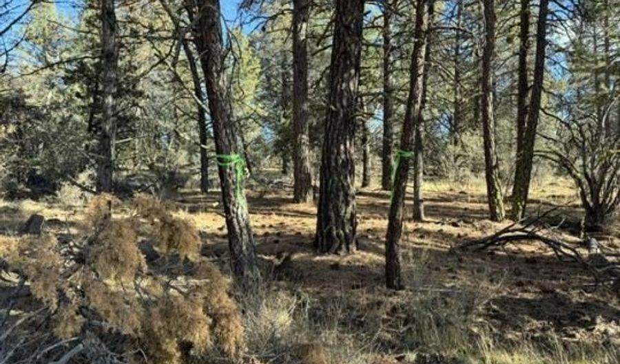 Bunting Drive, Bonanza, OR 97623 - 0 Beds, 0 Bath