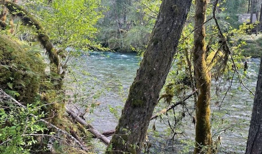 54785 McKenzie River Dr, Blue River, OR 97413 - 4 Beds, 2 Bath