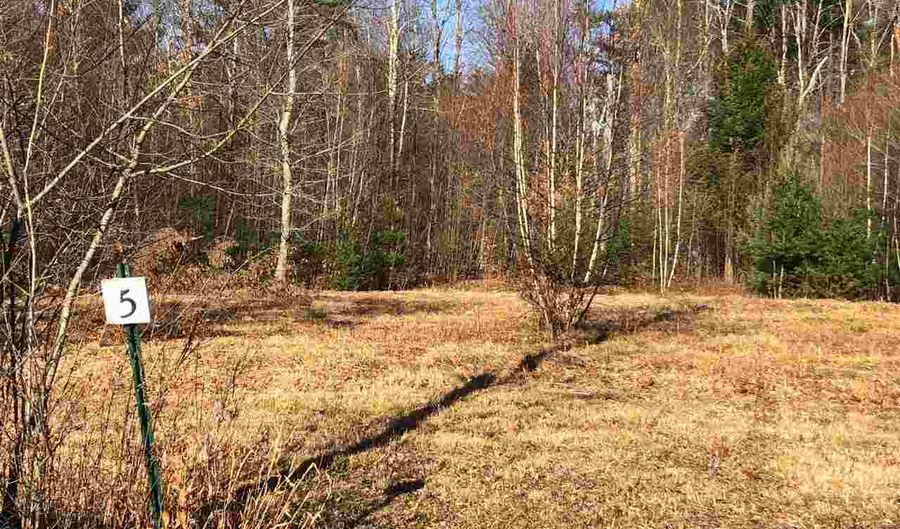 00 Town Line Rd Lot 5, Arlington, VT 05250 - 0 Beds, 0 Bath