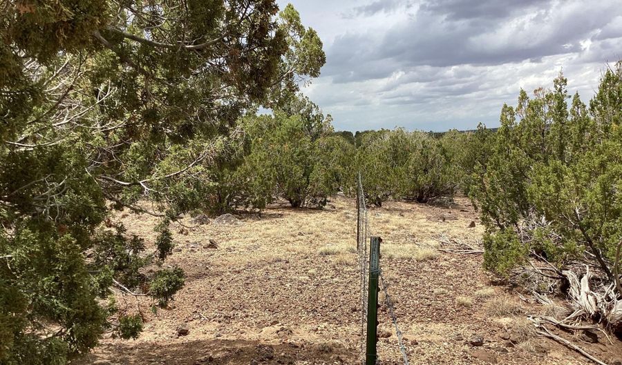 Tbd Standford, Concho, AZ 85924 - 0 Beds, 0 Bath