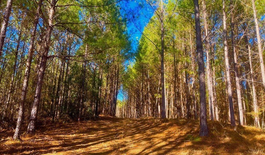 1919 Arthur Dr NW, Brookhaven, MS 39601 - 0 Beds, 0 Bath