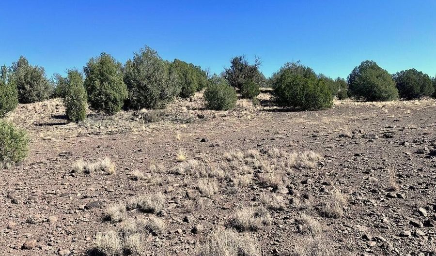 145 SW Reckless Ln, Ash Fork, AZ 86320 - 0 Beds, 0 Bath