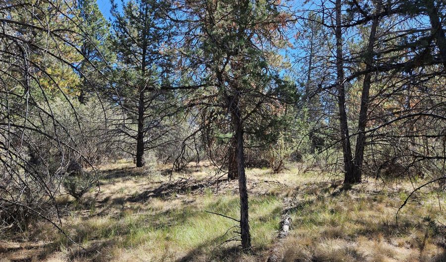 Jaguar Lane Lot 29, Bonanza, OR 97623 - 0 Beds, 0 Bath