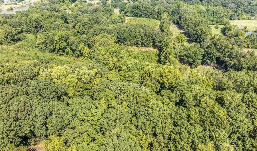 WILLOW OAK Dr lot 59, Arlington, TN 38002 - 0 Beds, 0 Bath