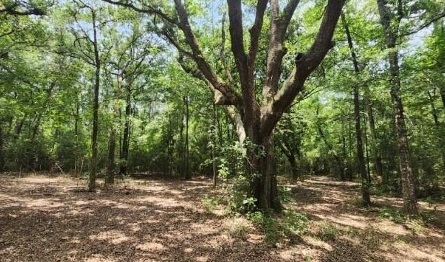 0 Peapatch Rd, Biloxi, MS 39532 - 0 Beds, 0 Bath