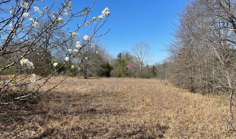 Willow Bend Lane, Atoka, OK 74525 - 0 Beds, 0 Bath