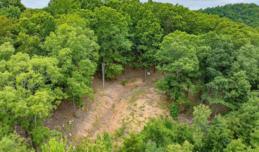 100 Block SPANISH MINE, Jessieville, AR 71909 - 0 Beds, 0 Bath