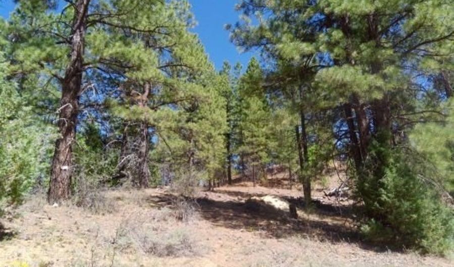 1430 W Elk Ridge Dr, Alton, UT 84710 - 0 Beds, 0 Bath