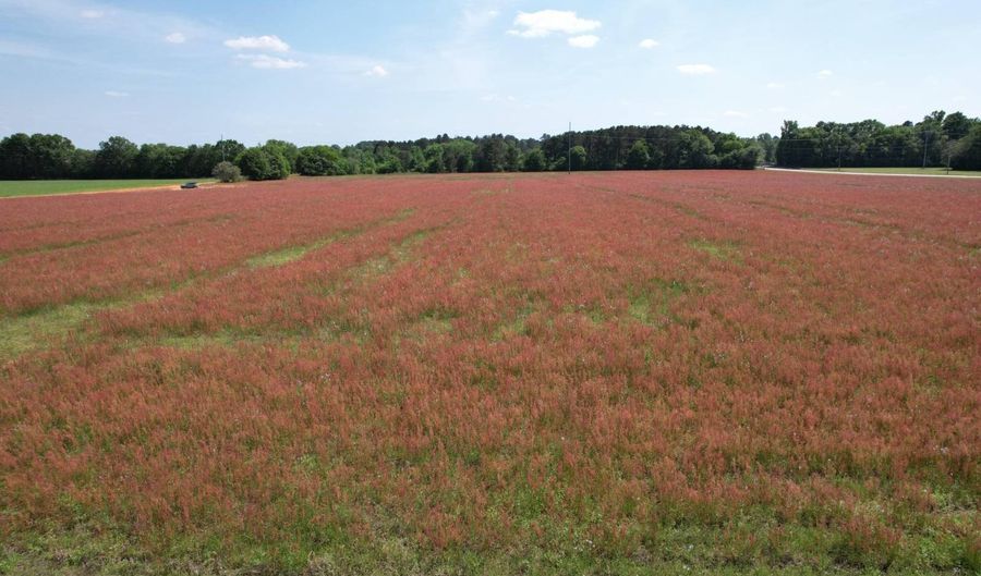 2 Rogers Ln, Bennettsville, SC 29512 - 0 Beds, 0 Bath