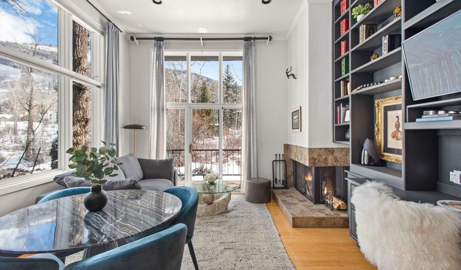 1050 Waters Ave 9, Aspen, CO 81611 - 2 Beds, 2 Bath