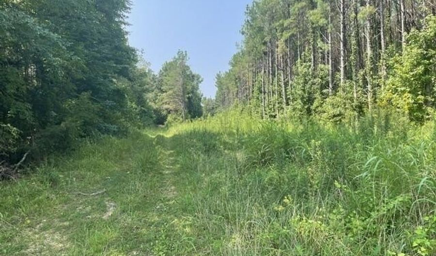 County Road 6381, Baldwyn, MS 38824 - 0 Beds, 0 Bath