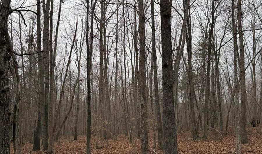 626 Holiday Lake Rd Lot 1, Appomattox, VA 24522 - 0 Beds, 0 Bath