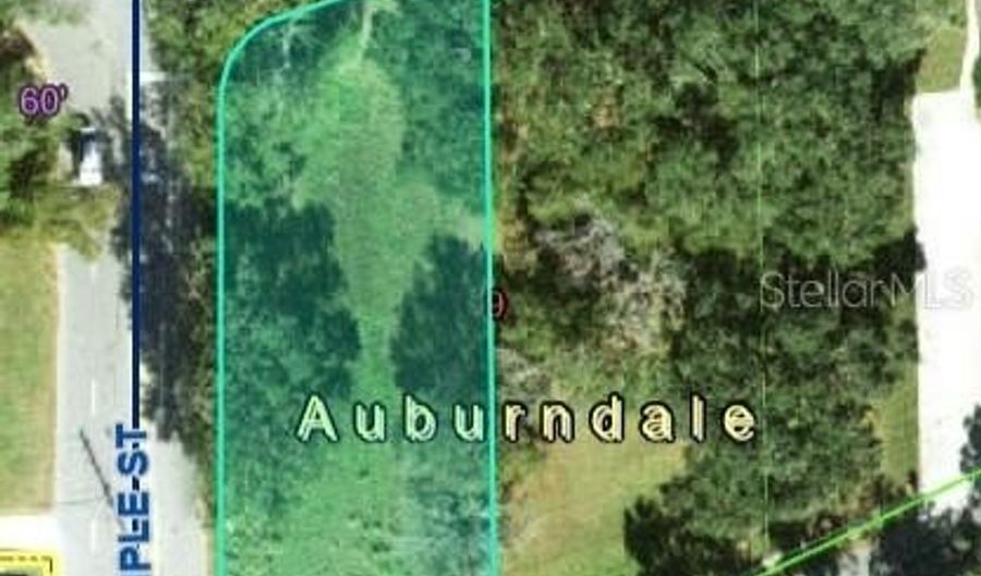 2006 LAKE ARIANA Blvd, Auburndale, FL 33823 - 0 Beds, 0 Bath