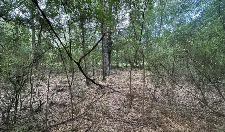 20 Ac Keyser Mill Rd, Baker, FL 32531 - 0 Beds, 0 Bath
