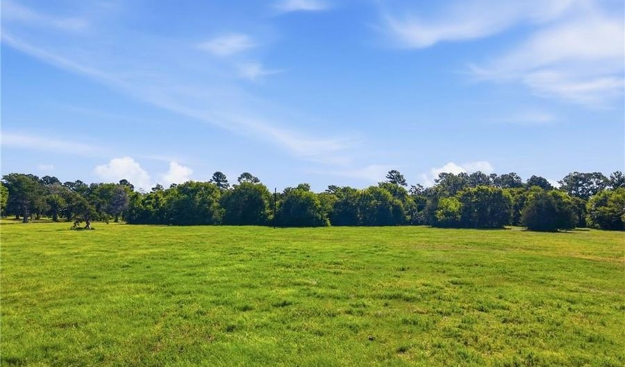 Farm to Market Rd 2562, Anderson, TX 77830 - 0 Beds, 0 Bath