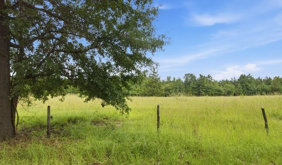 115355 115353 CR 2501, Alto, TX 75925 - 0 Beds, 0 Bath