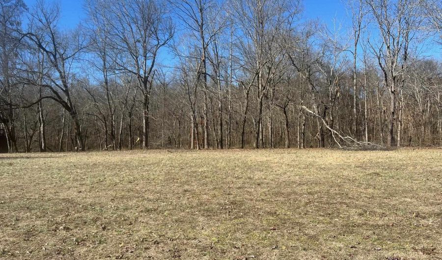 36 TOWBOAT Ln Lot 36, Adamsville, TN 38310 - 0 Beds, 0 Bath