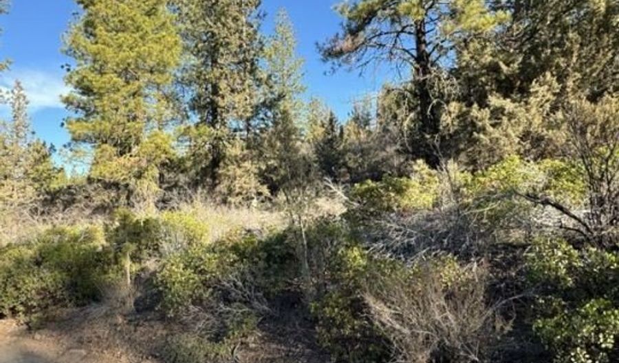 Hummingbird Dr, Bonanza, OR 97623 - 0 Beds, 0 Bath