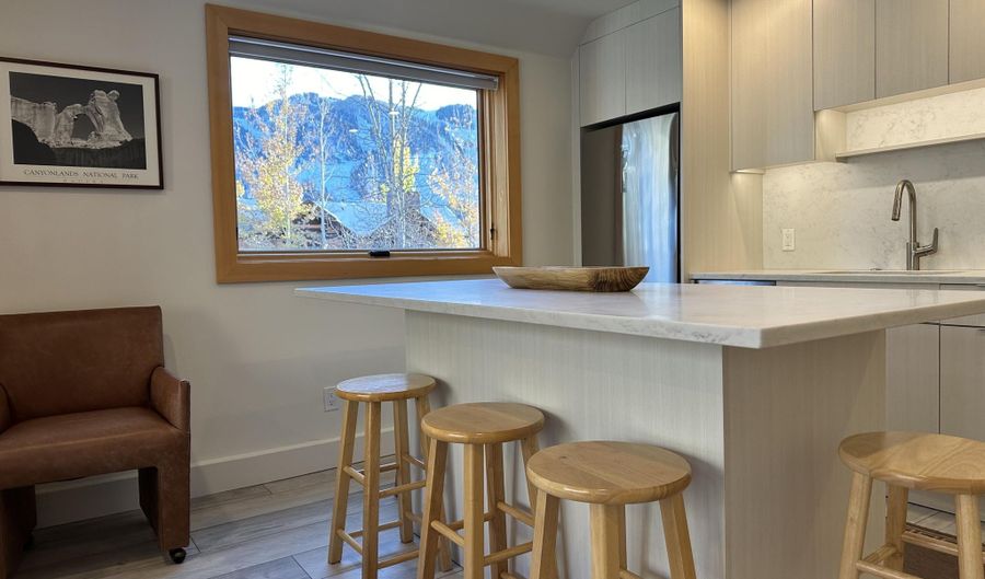 1136 Vine St 1136, Aspen, CO 81611 - 0 Beds, 1 Bath