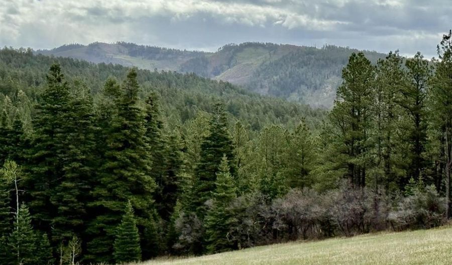 15098 CR 240, Bayfield, CO 81122 - 0 Beds, 0 Bath