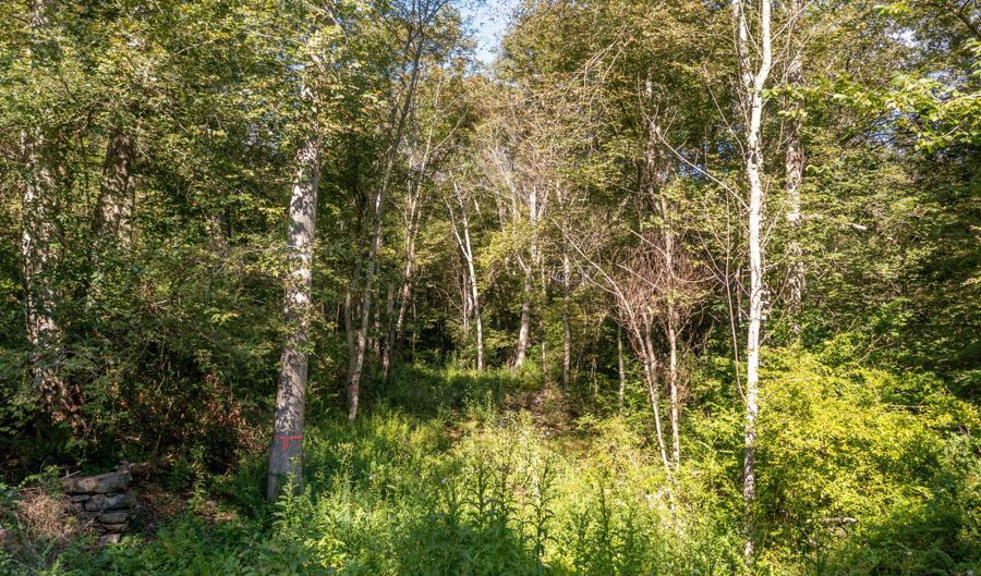 Bennett Pond Road, Canterbury, CT 06331 - 0 Beds, 0 Bath