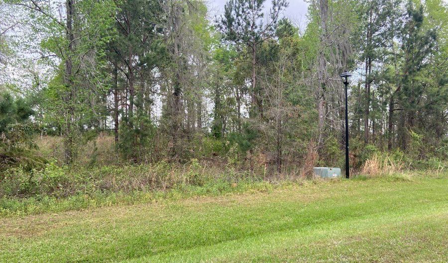 N/A Blue Springs, Bainbridge, GA 39819 - 0 Beds, 0 Bath
