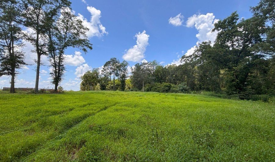 0 CR-215, Ariton, AL 36311 - 0 Beds, 0 Bath