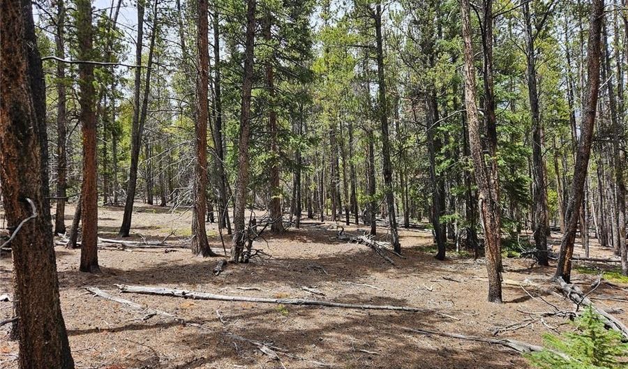 700 Looney Ln Lot 0, Alma, CO 80420 - 0 Beds, 0 Bath