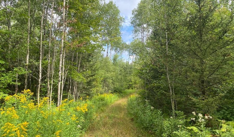 NEAR SCHMIDT LN, Argonne, WI 54511 - 0 Beds, 0 Bath