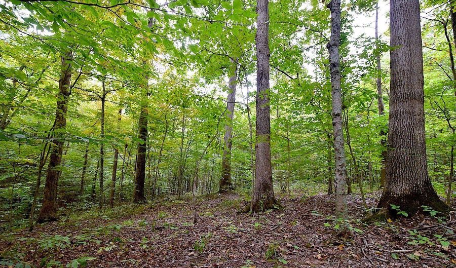 State Route 550, Amesville, OH 45711 - 0 Beds, 0 Bath