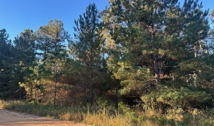 Alapaha River Drive, Alapaha, GA 31622 - 0 Beds, 0 Bath