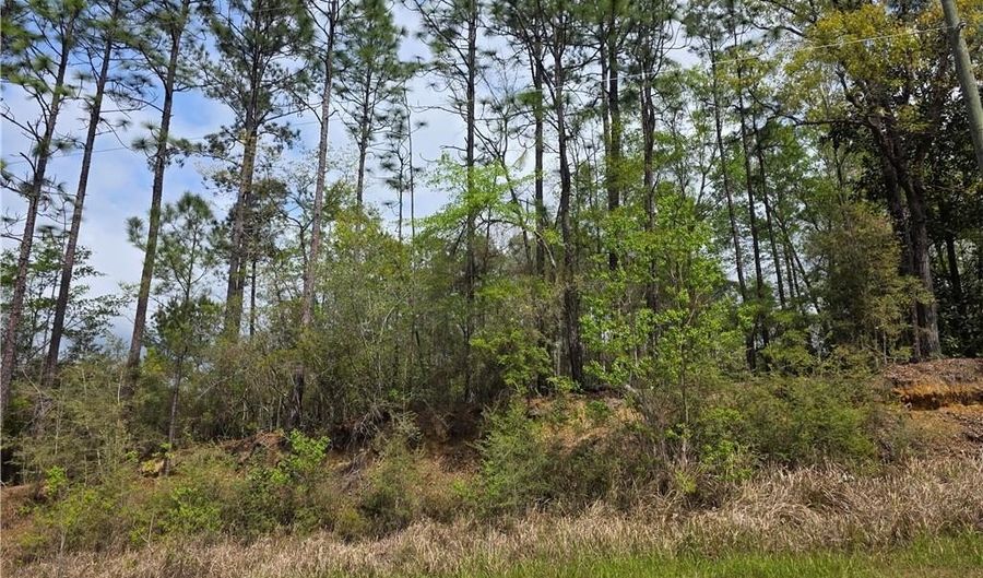 12287 Red Hill Road Ext, Bay Minette, AL 36507 - 0 Beds, 0 Bath
