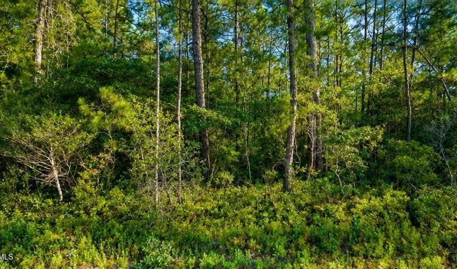 Whiteville Road NW lot 1, Ash, NC 28420 - 0 Beds, 0 Bath