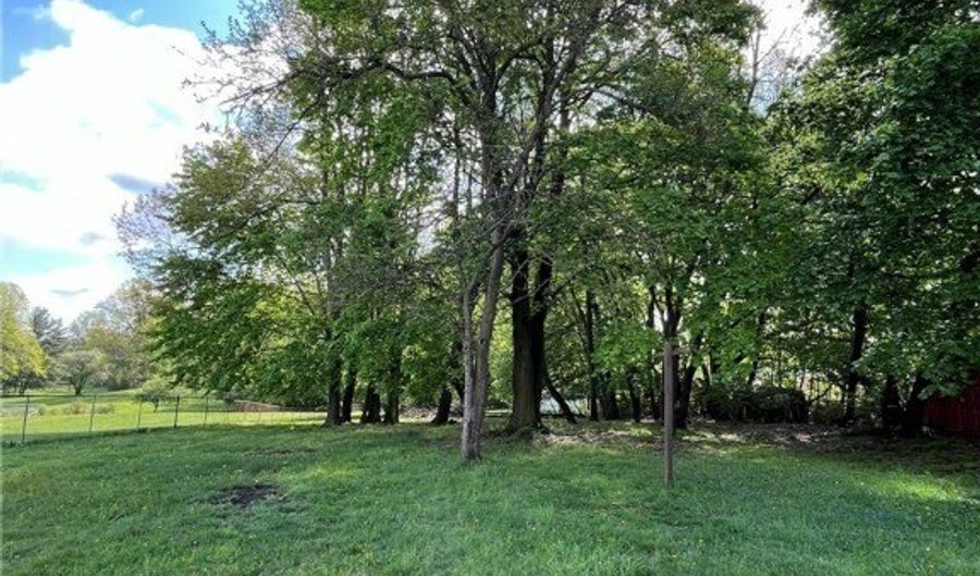 805 Utica Ave, Akron, OH 44312 - 0 Beds, 0 Bath