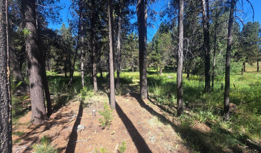 17040 ISLAND LOOP Way, Bend, OR 97707 - 0 Beds, 0 Bath