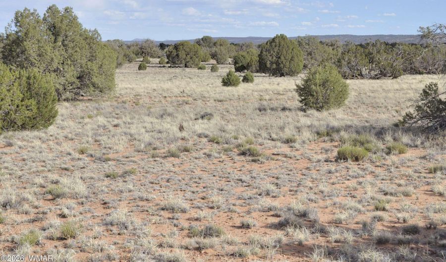 176 CR N5549, Concho, AZ 85924 - 0 Beds, 0 Bath